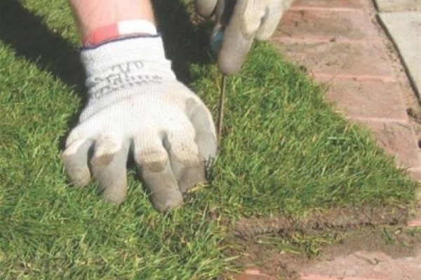 Lawn Installers Canterbury